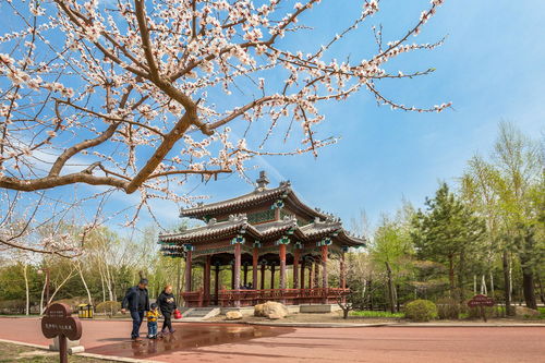 哈爾濱香坊區 以精品工程鑄就綠色生態城區，廈門中小企業網站建設共繪數字經濟新篇章